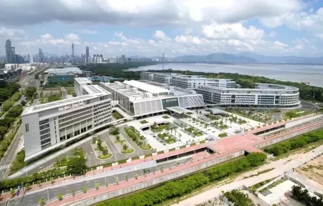 1624584503358096.jpg 640.webp (6).jpg